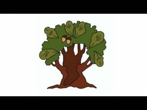 Раскраска секвойя ♥ Онлайн и !