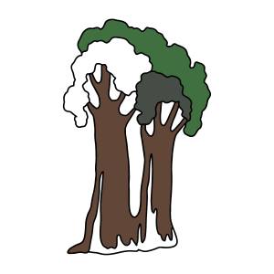 Раскраска секвойя ♥ Онлайн и !