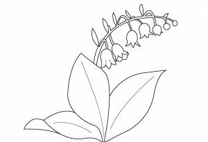 Раскраски Ландыш