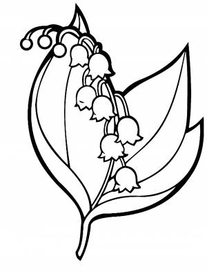 Красивый ландыш