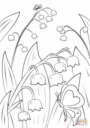 Раскраска Ландыш