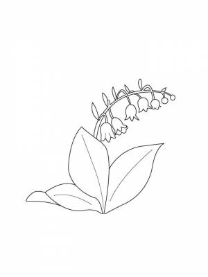 Раскраска цветок Ландыш картинка в формате  для мальчиков