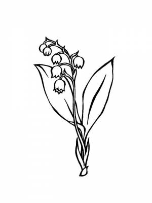 Раскраска цветок Ландыш   в формате