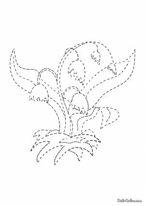 Раскраска Ландыш по точкам