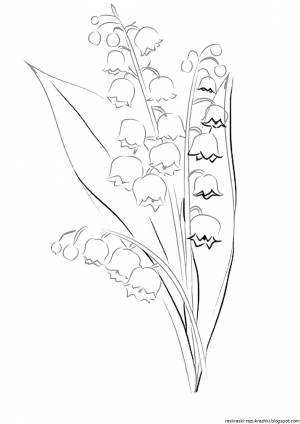 Весенние цветы рисунок карандашом