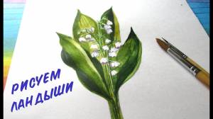 Как нарисовать ландыши акварельными красками