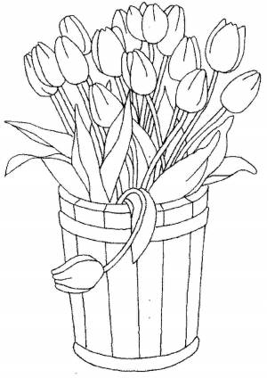 Раскраски, Рисунок Весенние цветы