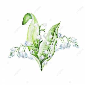 ландыши цветы акварель рисованной иллюстрации ландыши акварель рисованной иллюстрации Фото Фон И картинка для й загрузки