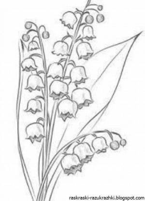 Раскраски Ландыш майский