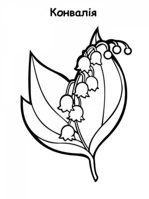 Раскраски Ландыш майский