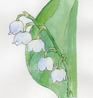 Ландыш рисунок