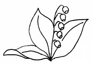 Раскраска Ландыш