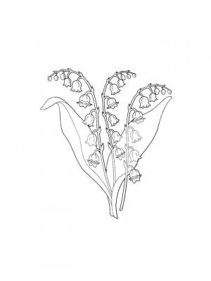 Картинка цветок Ландыш  раскраску онлайн