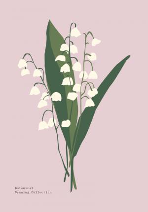 Постеры и картины ”ЛАНДЫШИ РИСУНОК ”