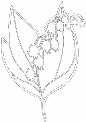 Ландыш раскраска