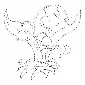 Раскраска Ландыш по точкам