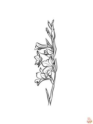 Раскраски гладиолусы  для детей