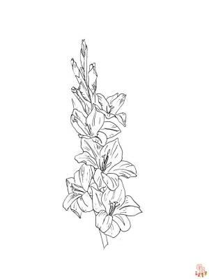 Раскраски гладиолусы  для детей