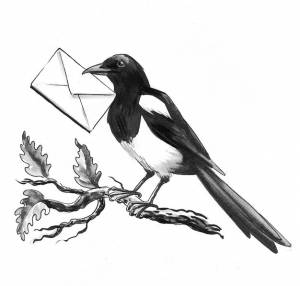 Птица сорока с письмом на ветке дерева