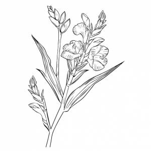Цветочная линия гладиолуса гладиолус ботаническая черная татуировка черно-белая иллюстрация гладиолуса