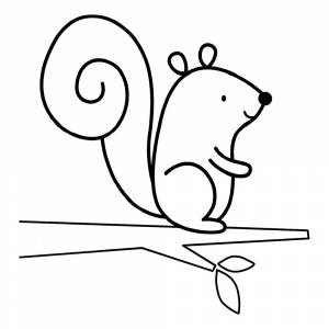 Раскраска Белочка сидит на ветке