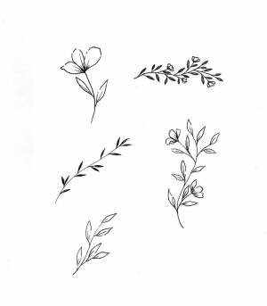 Рисунки для срисовки веточки