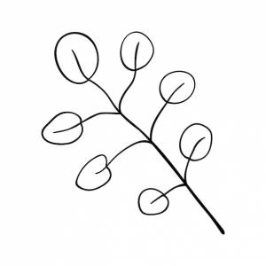 Травы и лесные растения ветка большая с круглыми листьями простой ботанический рисунок силуэта для открыток и приглашений