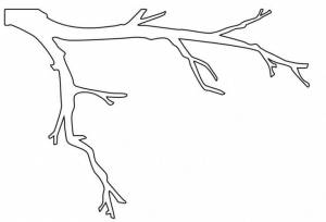 трафарет ветки дерева без листьев