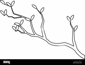 Ветка дерева раскраска