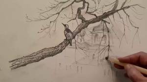 Как нарисовать ветку дерева карандашом