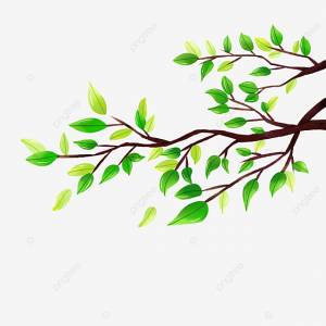 зеленая ветка дерева ручная роспись материала PNG , дерево клипарт, Экологизация, Зеленый лист PNG картинки и пнг PSD рисунок для й загрузки