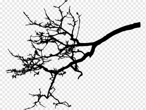 Веточка ветки, силуэт, животные, лист, ветка дерева png