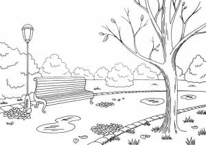 Раскраска парк