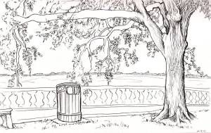 Картинки для срисовки парк легкие