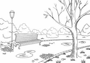 Лес в парке