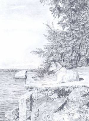 Парк Монрепо в Выборге