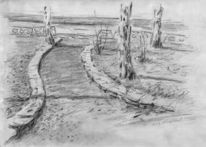 В сонном парке