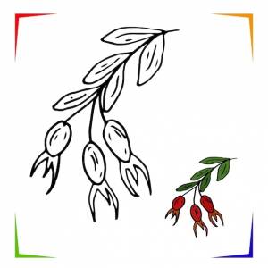 Шиповник раскраска страница вектор образовательный лист, раскрашенный по образцу игра в краску для детей дошкольного возраста