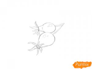 Как нарисовать шиповник поэтапно 5 уроков