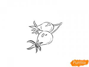 Как нарисовать шиповник поэтапно 5 уроков