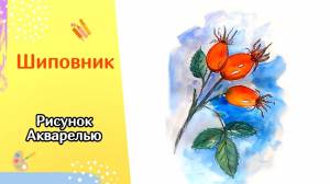 Как нарисовать ШИПОВНИК