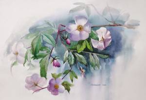 Шиповник акварелью