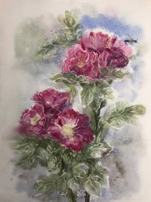 Картина Шиповник