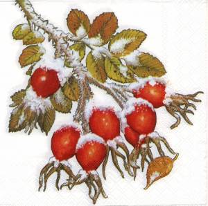 Шиповник рисунок для детей