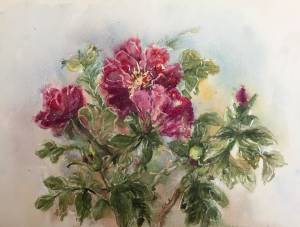 Картина « Шиповник цветёт»