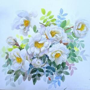 Шиповник Нежные цветы шиповника