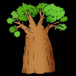 Баобаб детский рисунок