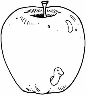 Раскраски большое, Раскраска Самое большое дерево баобаб Контуры дервеьев