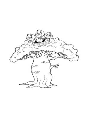 Раскраска Баобаб