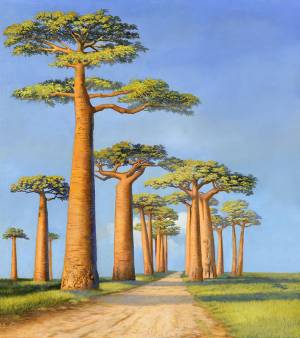 Фотообои Арт